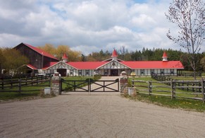 Stables and Arenas
