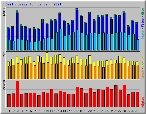 Daily usage for January 2021