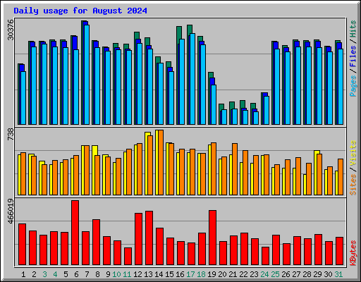 Daily usage for August 2024
