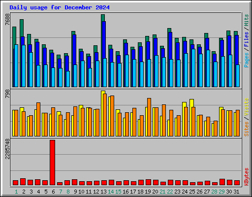 Daily usage for December 2024