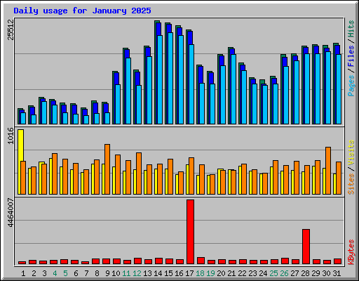 Daily usage for January 2025