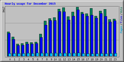 Hourly usage for December 2015