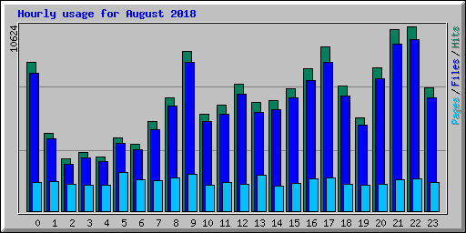 Hourly usage for August 2018