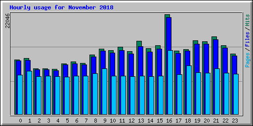 Hourly usage for November 2018