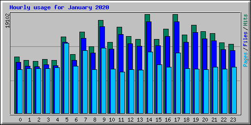 Hourly usage for January 2020