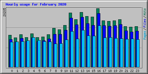 Hourly usage for February 2020