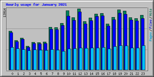 Hourly usage for January 2021