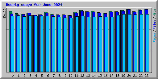 Hourly usage for June 2024