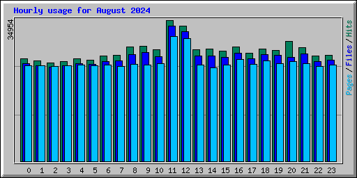 Hourly usage for August 2024