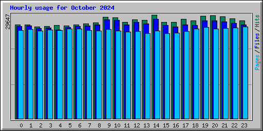 Hourly usage for October 2024