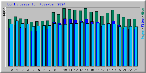 Hourly usage for November 2024