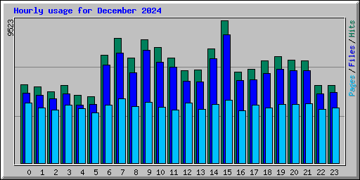 Hourly usage for December 2024