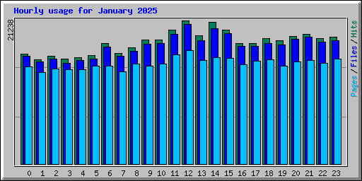 Hourly usage for January 2025