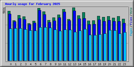 Hourly usage for February 2025