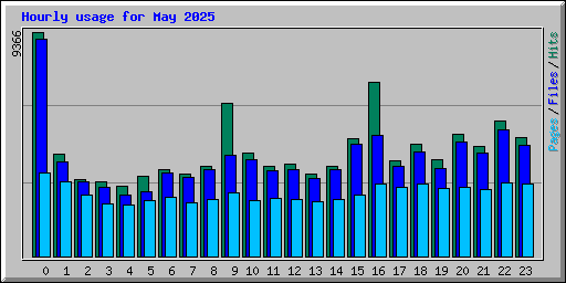 Hourly usage for May 2025