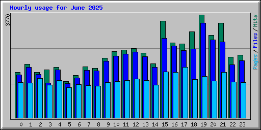 Hourly usage for June 2025