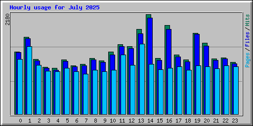 Hourly usage for July 2025