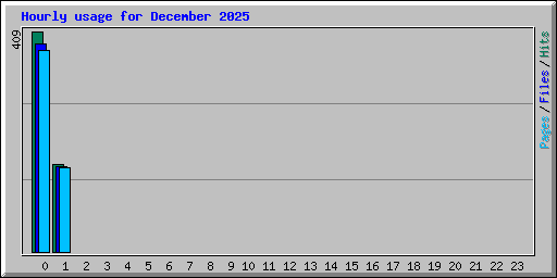 Hourly usage for December 2025