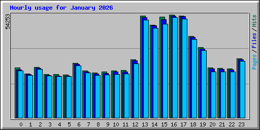 Hourly usage for January 2026