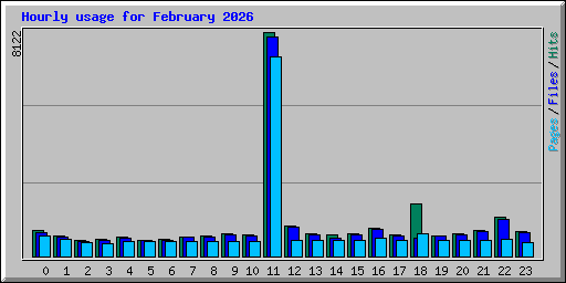 Hourly usage for February 2026