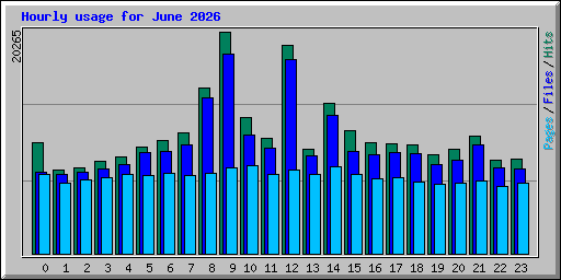 Hourly usage for June 2026